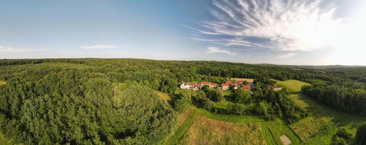 Joux-la-Ville Val De La Nef Bed & Breakfast エクステリア 写真